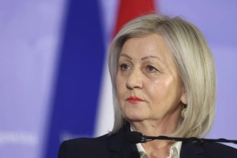 Haos u BiH upravo je postao još veći: "Pod uticajem su Rusije, ne žele nam dobro"
