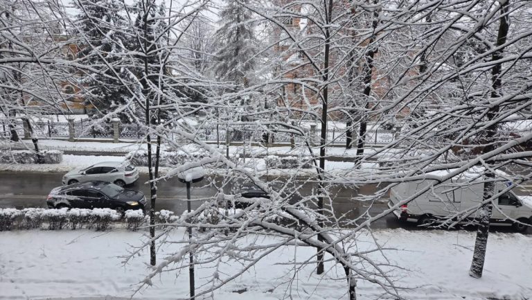 Oglasio se Nedim Sladić sa prognozom: „Kao jeftin i loš horor film“