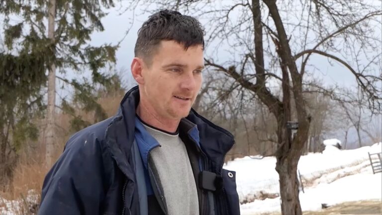 Štala se srušila, ovce nestale a danas se desilo čudo, Elmin dobio preko 100 ovaca