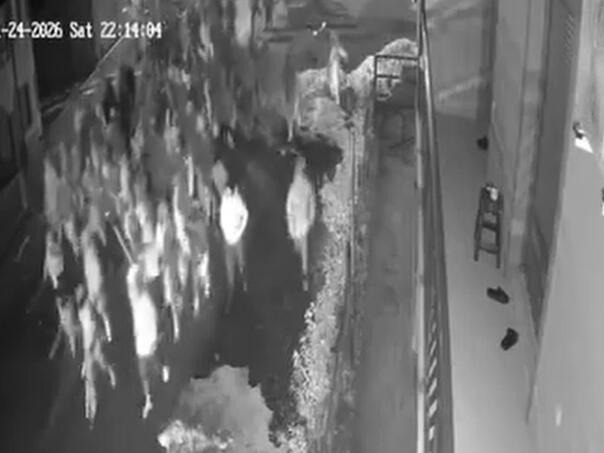Video: Pojavio se snimak obračuna Torcide i Delija kod Tuzle Video: Pojavio se snimak obračuna Torcide i Delija kod Tuzle