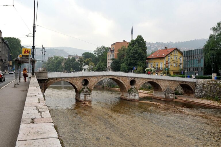 Bura zbog odluke Sarajeva: Dižu spomenik “okupatoru” to je ludost Bura zbog odluke Sarajeva: Dižu spomenik “okupatoru” to je ludost