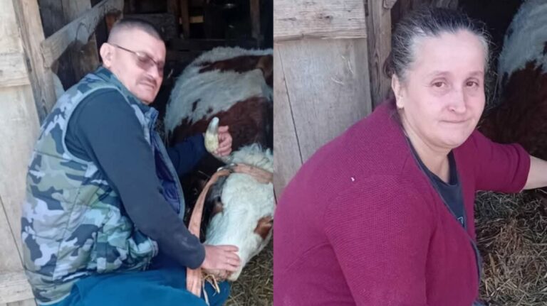 Porodicu Avdić pogodila velika nesreća: Uginula krava od koje su živjeli