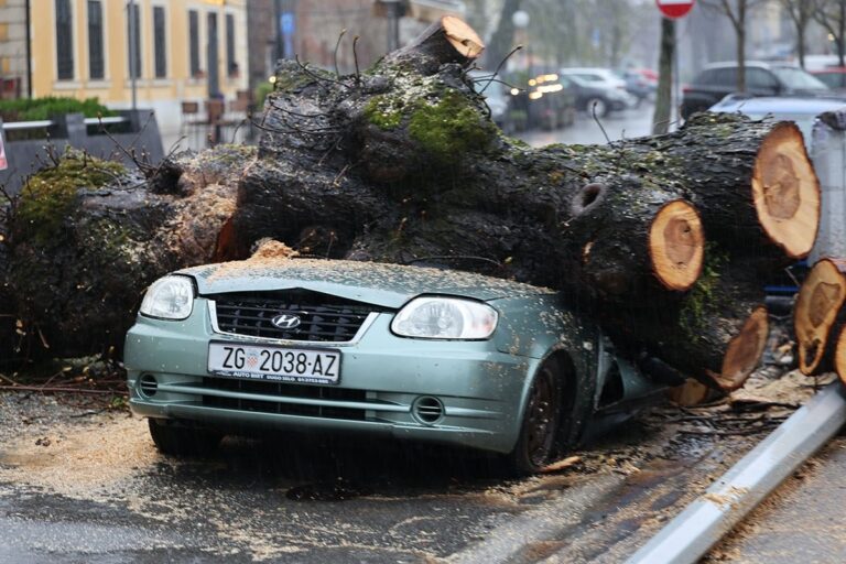 Apokalipsa u Zagrebu: Stabla drobila automobile, izdato upozorenje Apokalipsa u Zagrebu: Stabla drobila automobile, izdato upozorenje