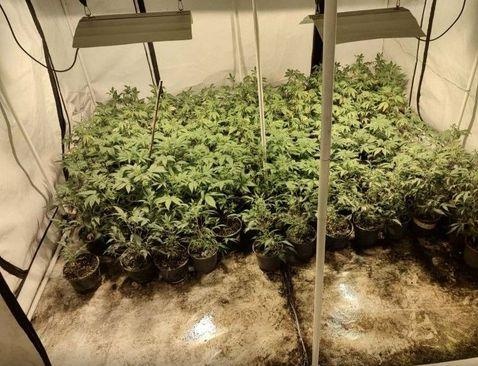 Poznat identitet Sarajke uhapšene zbog droge: Policija pronašla pet laboratorija