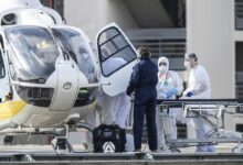 Njemački mediji upozoravaju: Pojavio se opasan virus Borna, smrtnost izuzetno visoka