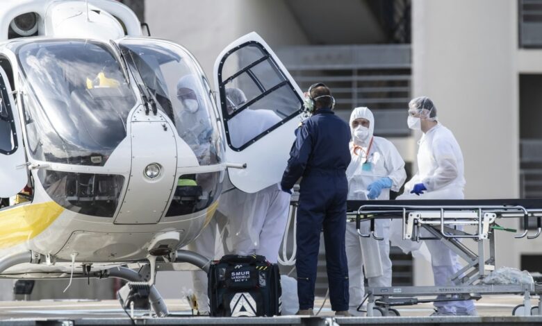 Njemački mediji upozoravaju: Pojavio se opasan virus Borna, smrtnost izuzetno visoka