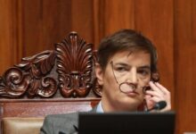 Brnabić: Odnose Srbije i Rusije ne bih nazvala „bratskim“