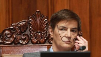 Brnabić: Odnose Srbije i Rusije ne bih nazvala „bratskim“