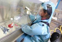 Smrtonosni virus ebole u zabrinjavajućem porastu