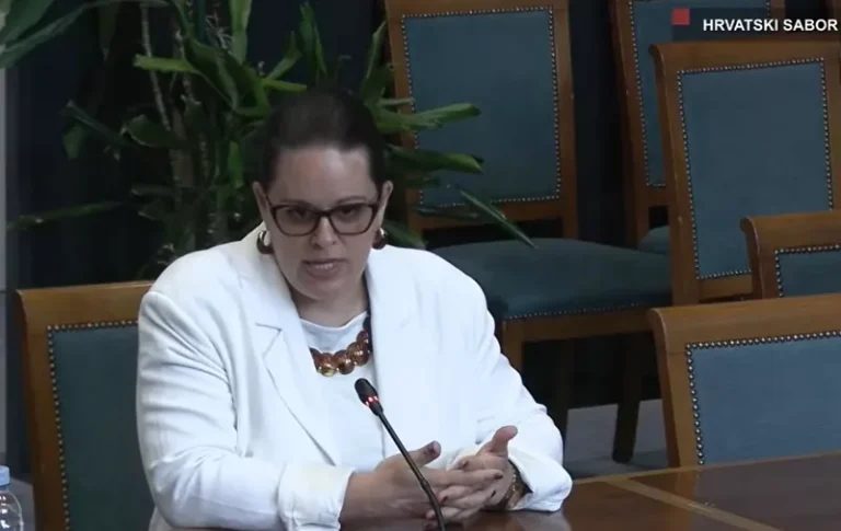 (VIDEO) KAOS U SABORSKOM ODBORU ZA USTAV: Pogledajte žestoku prepirku između kandidatkinje za Ustavni sud i HDZ-ovaca