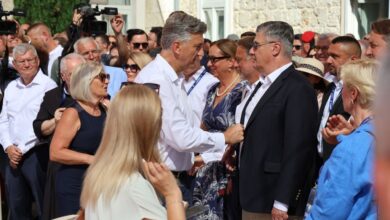 Andrej P i Zoran M